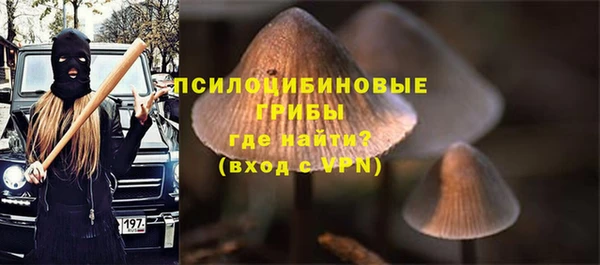 PSILOCYBIN Мегион