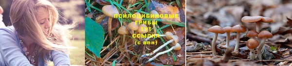 синтетический гашиш Магас