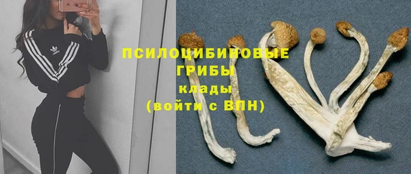 PSILOCYBIN Мегион