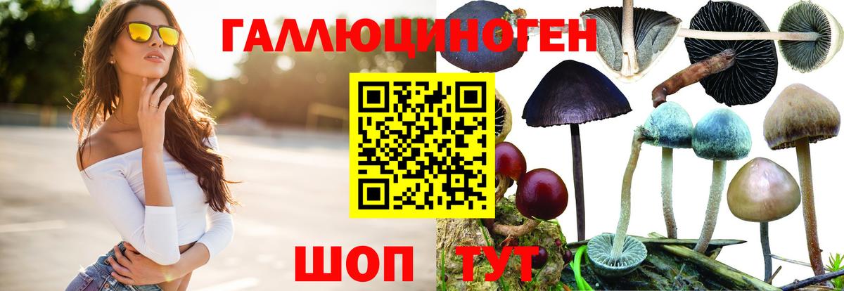 ГАШИШ Черняховск