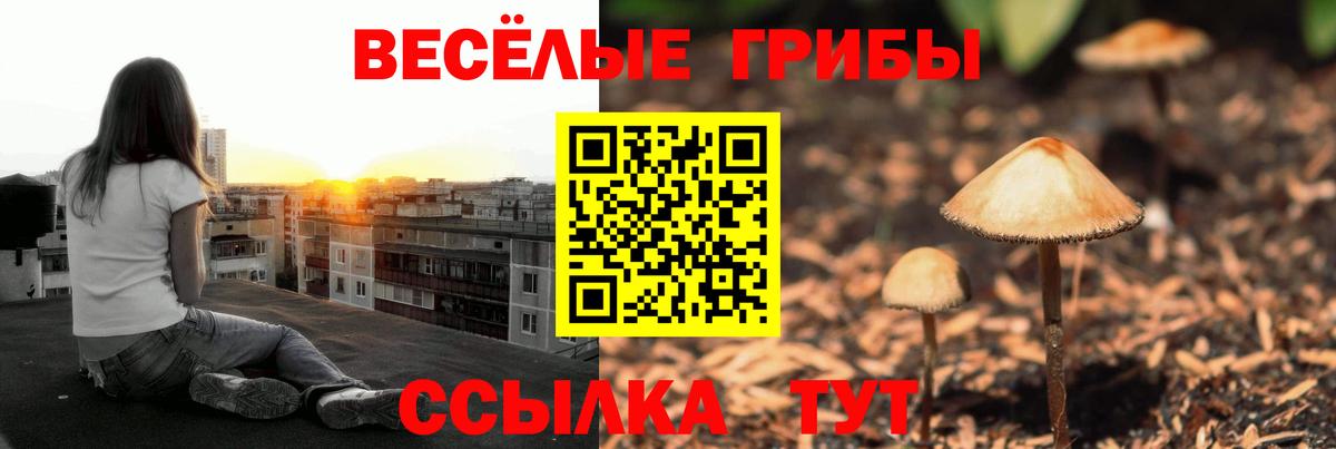 Галлюциногенные грибы Magic Shrooms Черняховск