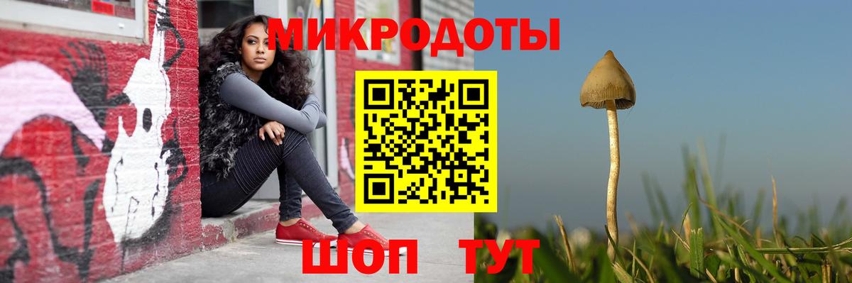 Галлюциногенные грибы GOLDEN TEACHER  купить закладку  Черняховск 